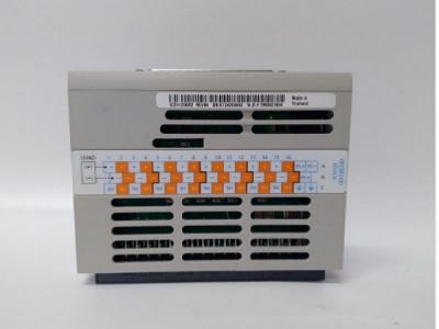 1C31125G02 Emerson Ovation Digital Output Module