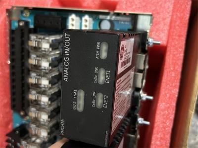 IS220PAICH1BG GE Mark VI, Analog I/O Module